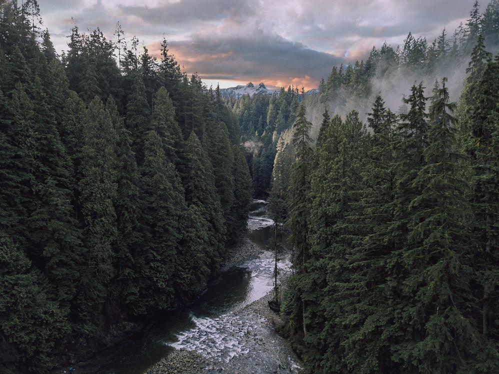 The mountains with trees and river during the sunset