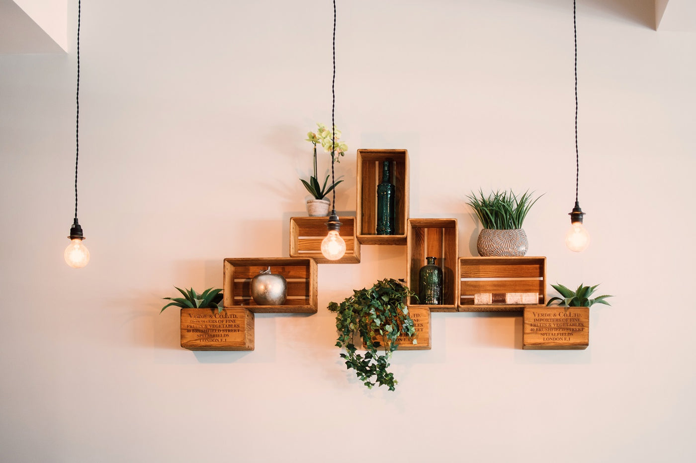 Decoration on the wall from wooden boxes and plants inside